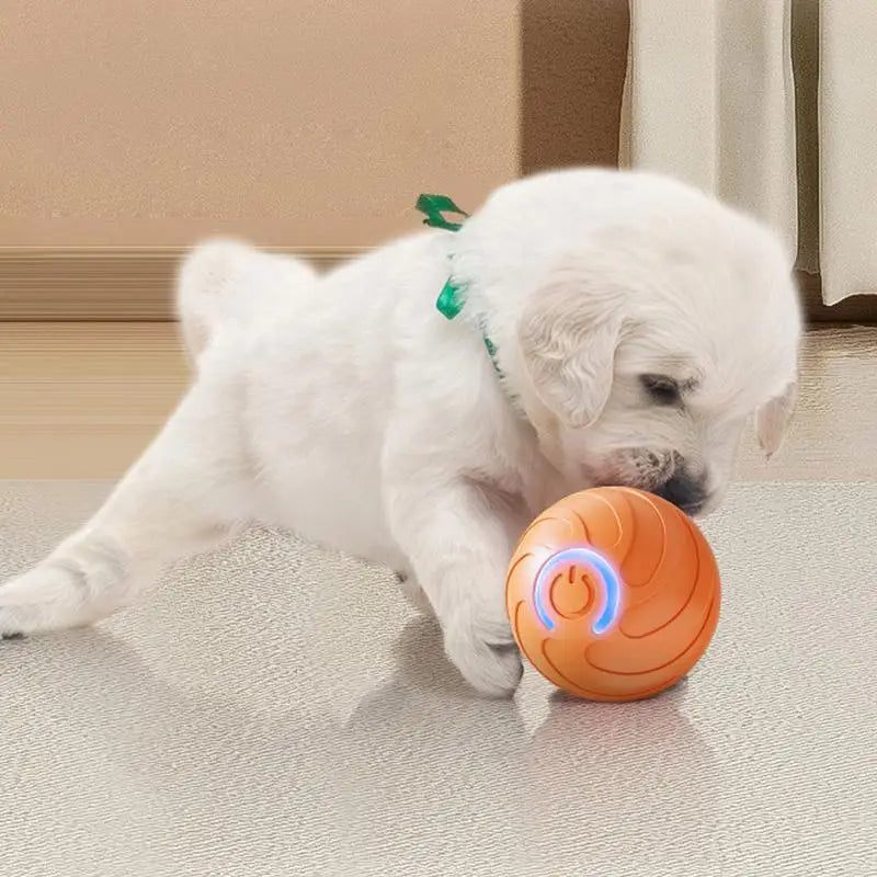 Smart Pet Toys Ball Electric Automatic Jumping Rolling Ball Interactive Game Rechargeable Moving Puppy Touch Activated Toy