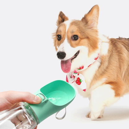 Portable dog water bottle for the  outdoors.